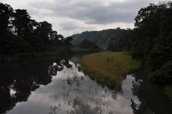 O lindo caminho para Bahía Drake, na Península de Osa, no sul da Costa Rica